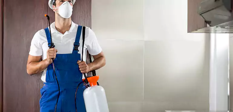 Why Santa Rosa Homeowners Choose Us When Pests Make Selling Difficult